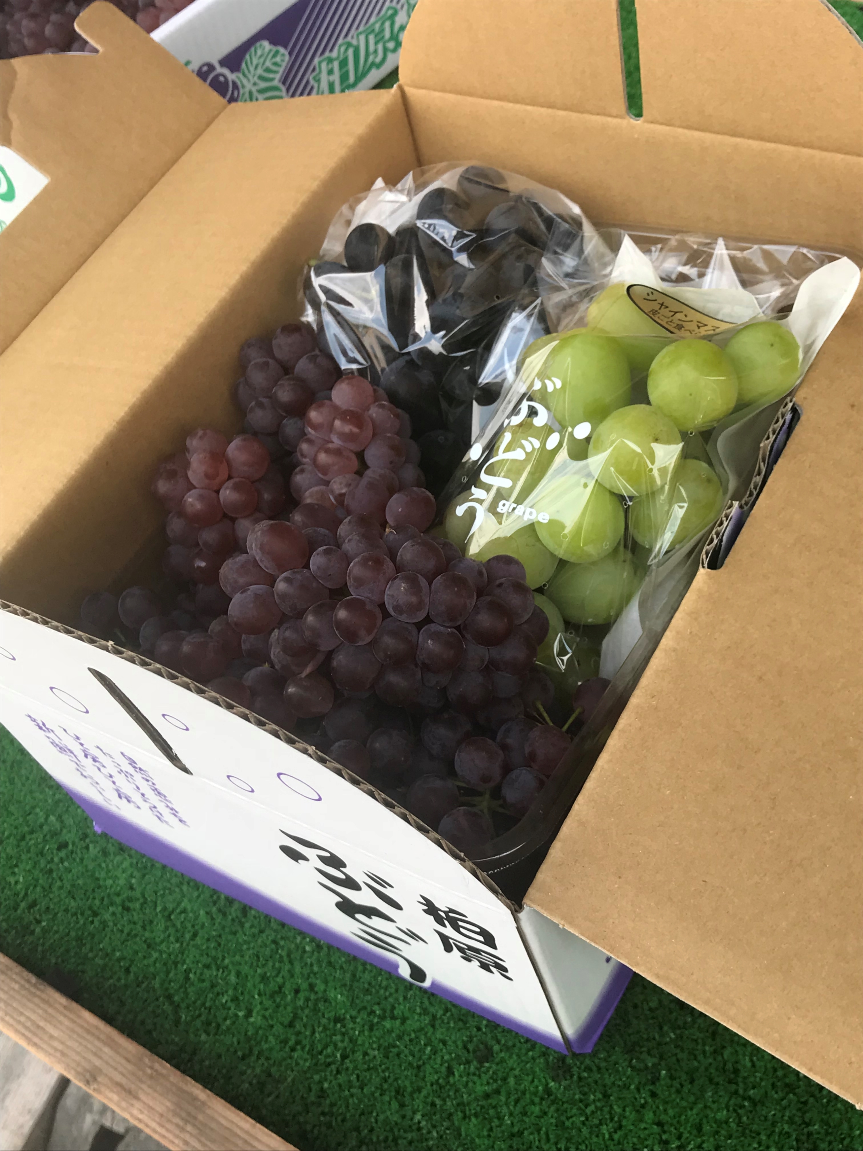 予約販売 シャインマスカット 巨峰 デラウェア 3色詰め合わせ ぶどう1 5kg箱入り 大阪ぶどう村 いぬいぶどう直売所