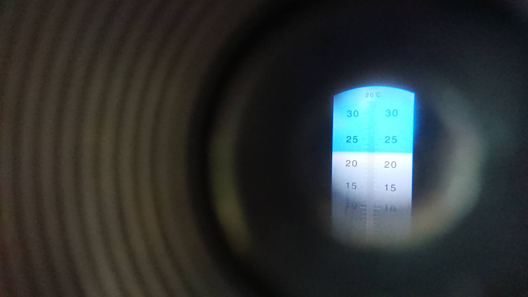 デラウェアぶどうの糖度を調べてみました。2019年度版